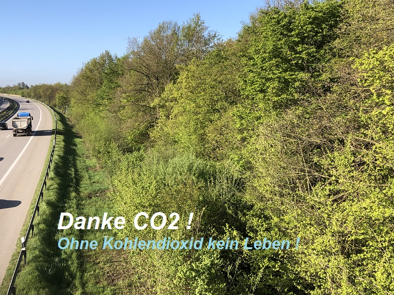 Kein Leben ohne Kohlendioxid (CO2)
